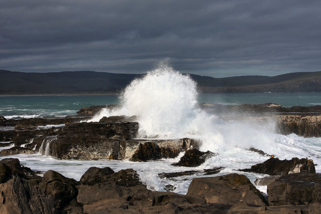 Curio Bay by Sonny Thornborrow