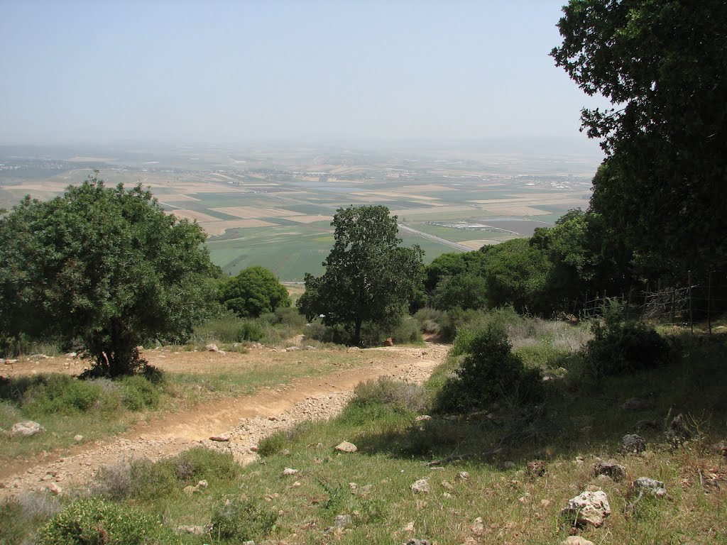 Caramel mountains, a sharp rise to Muhraka, view to the Jezreel Valley 6, Israel by Kobi Zilberstein