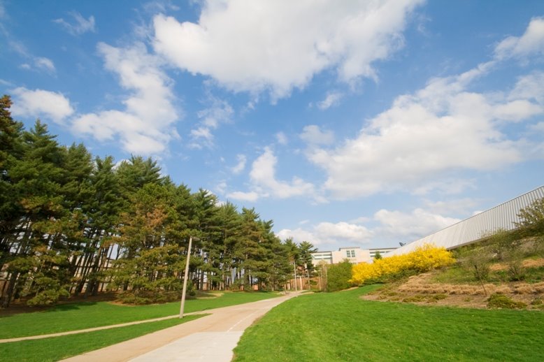 MSU side walk along Munn Ice Arena by John R. Kennedy