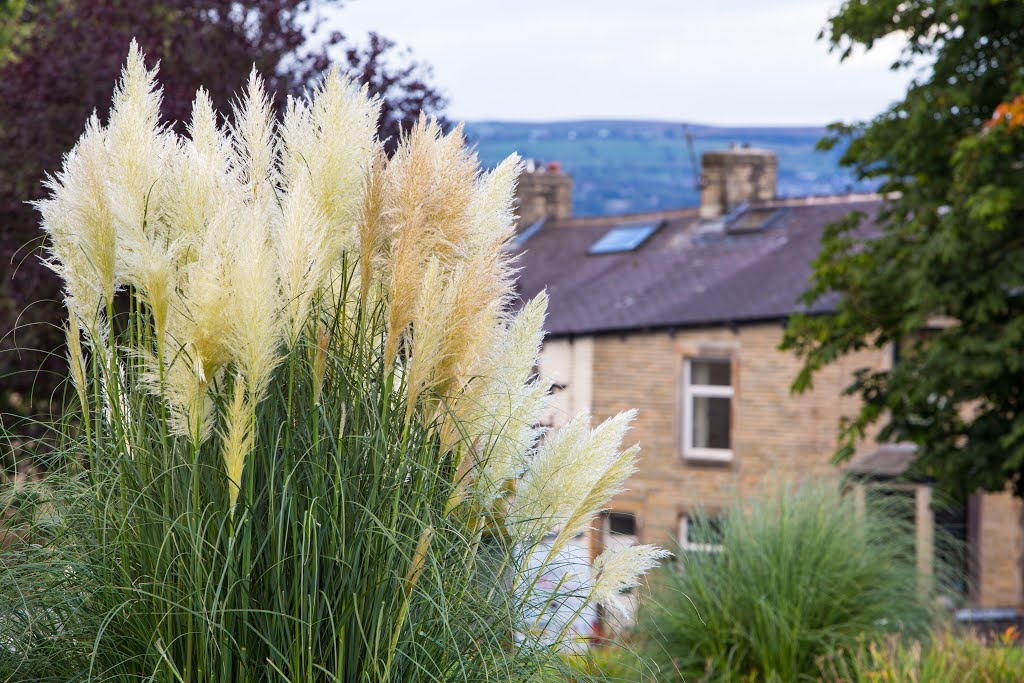 Church House Garden by nickbond5693