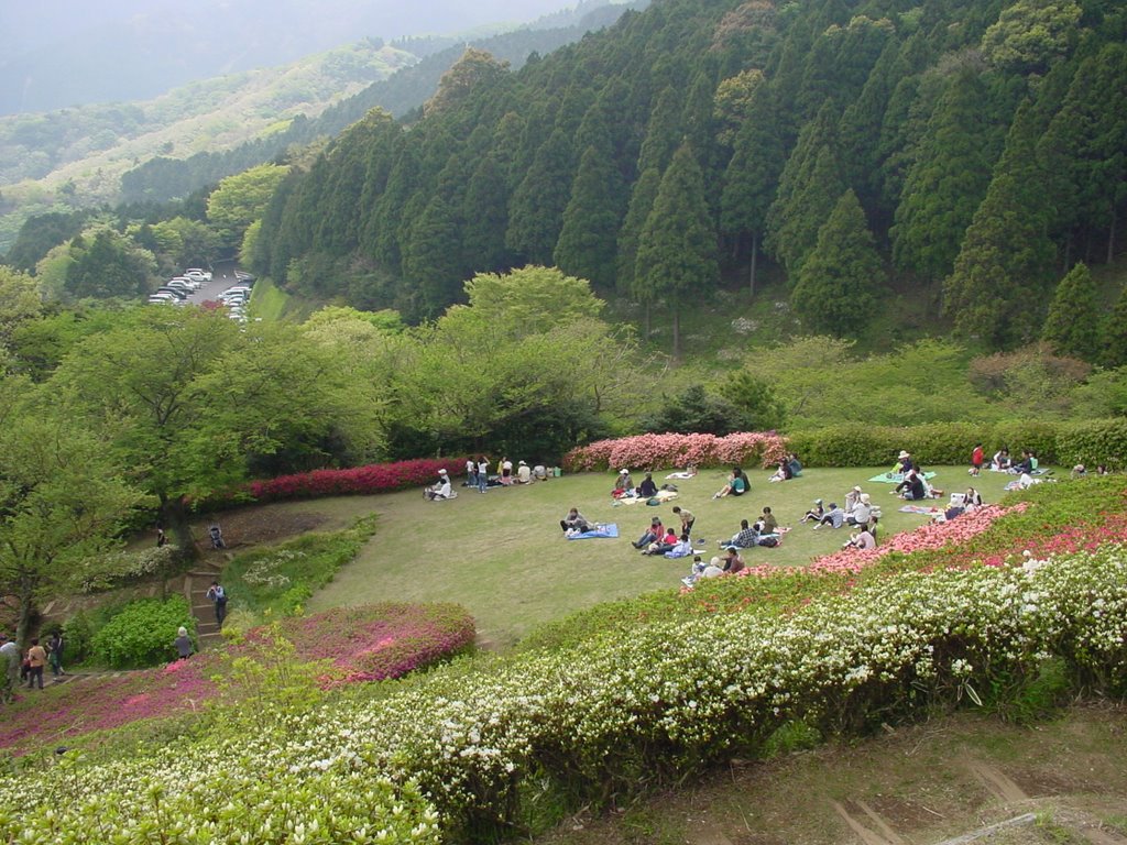 Hime-no-sawa-park by Fuji Miyuh