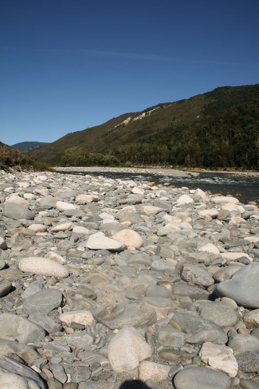 Owen River 7073, New Zealand by MarkusStadtmann