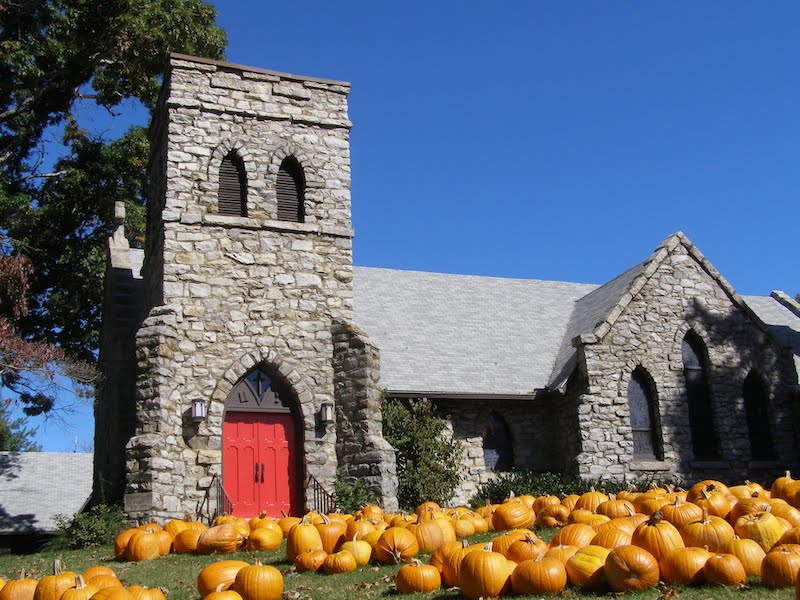 Pumpkins for Charity by Melinda Stuart