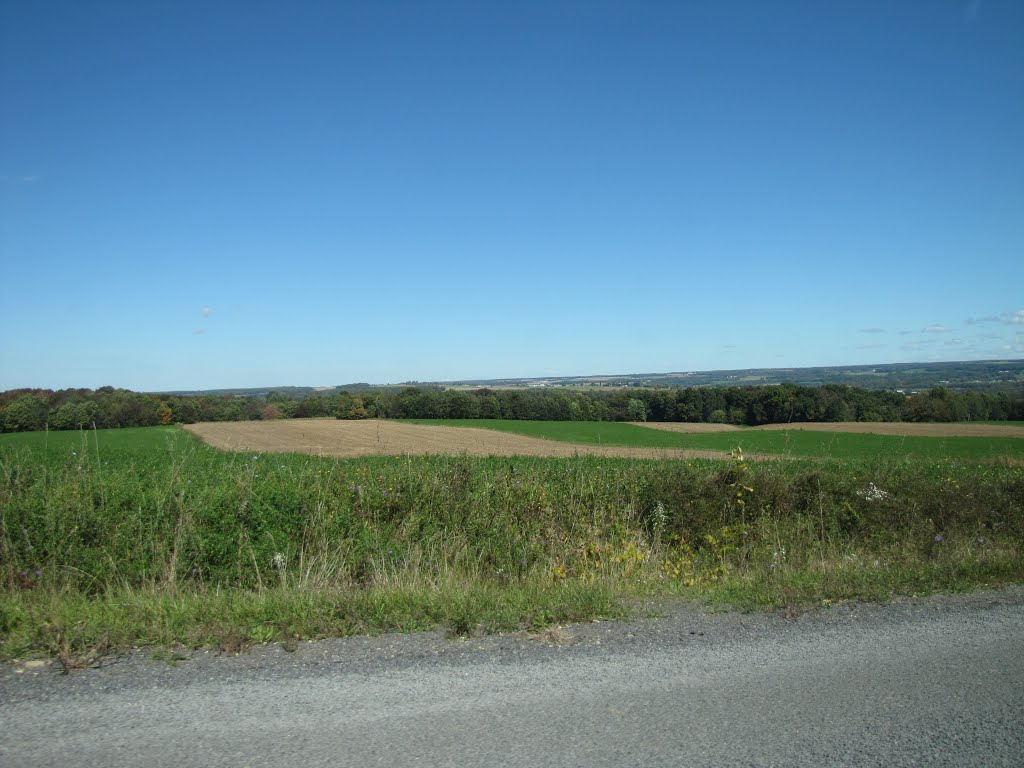 Hill Road in the Finger Lakes by Chris Sanfino