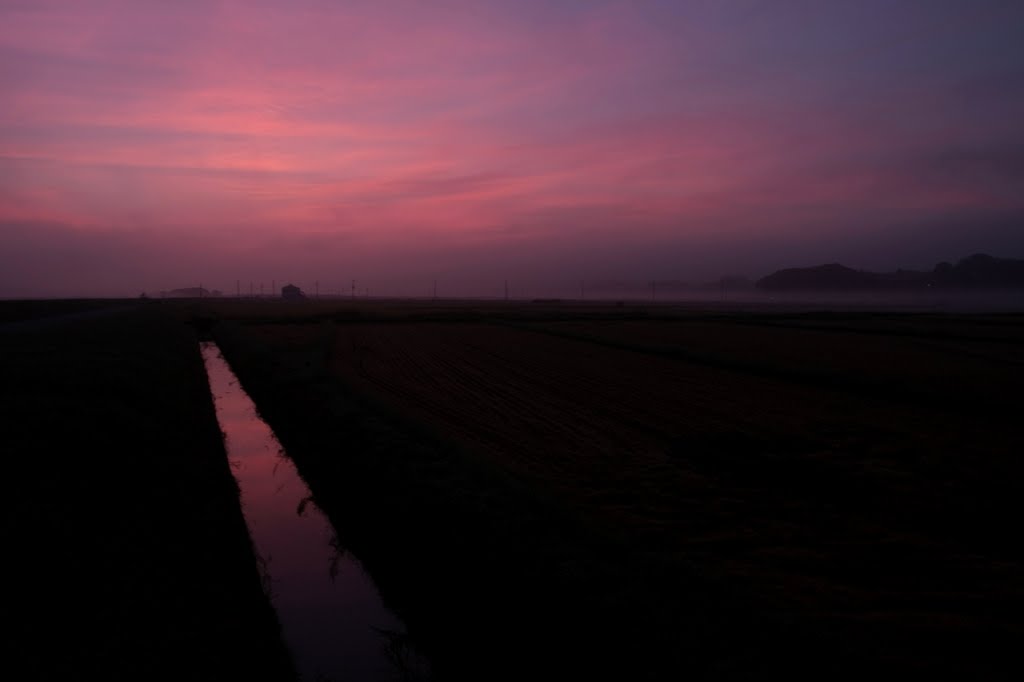 20130914　朝霧の漂う早朝の水田 by rerereno-ozi3