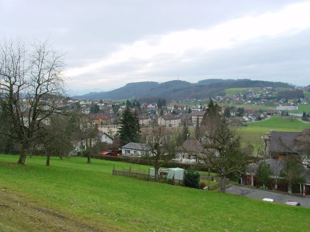 Safenwil by greenplanet