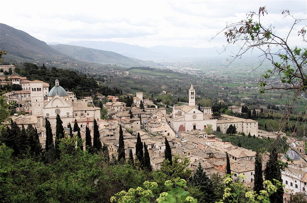 Assisi by R. C. Schreiner