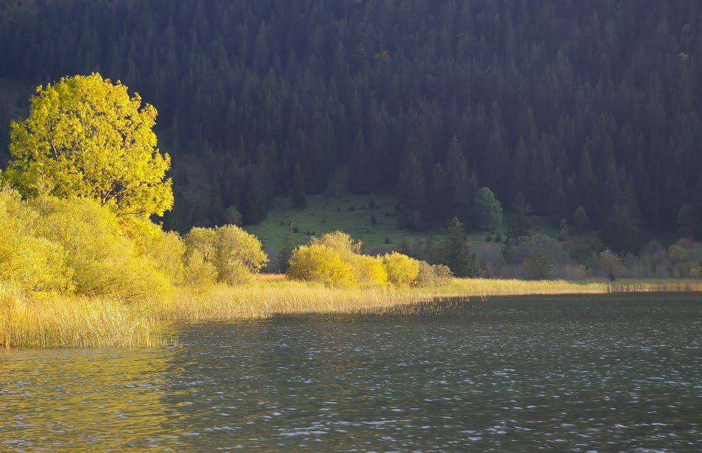 Farbenspiel, Herbst am Haldensee im Tannheimer Tal by Reto Börner