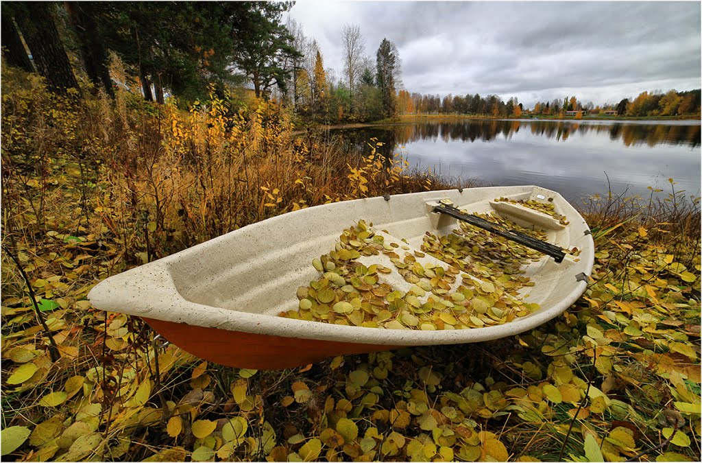 Sotkamo, Finland by Valtteri Mulkahainen