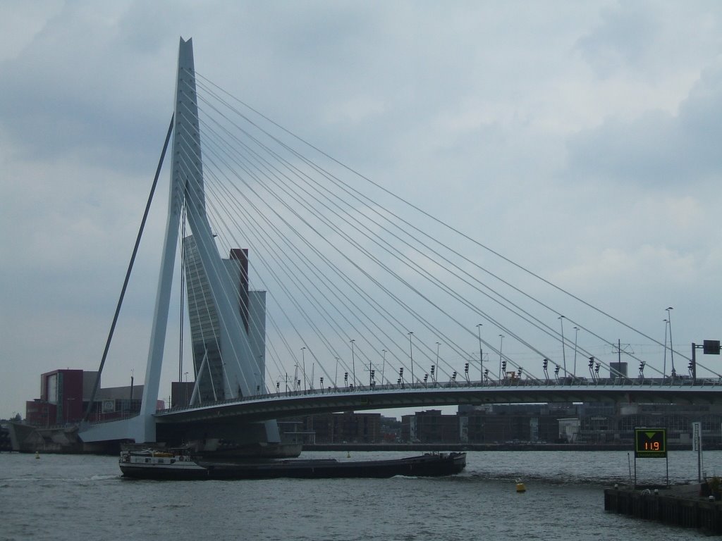 Erasmusbrug by Jago83