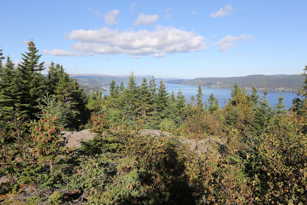 Corner Brook Captain Cook's Lookout by bryanf