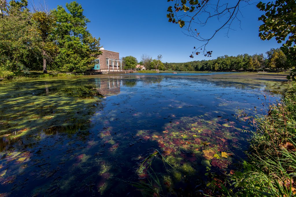 Mammoth Spring, Arkansas by Mark Kortum