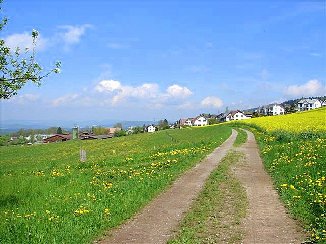 Frühling in Remetschwil Schweiz by ToA