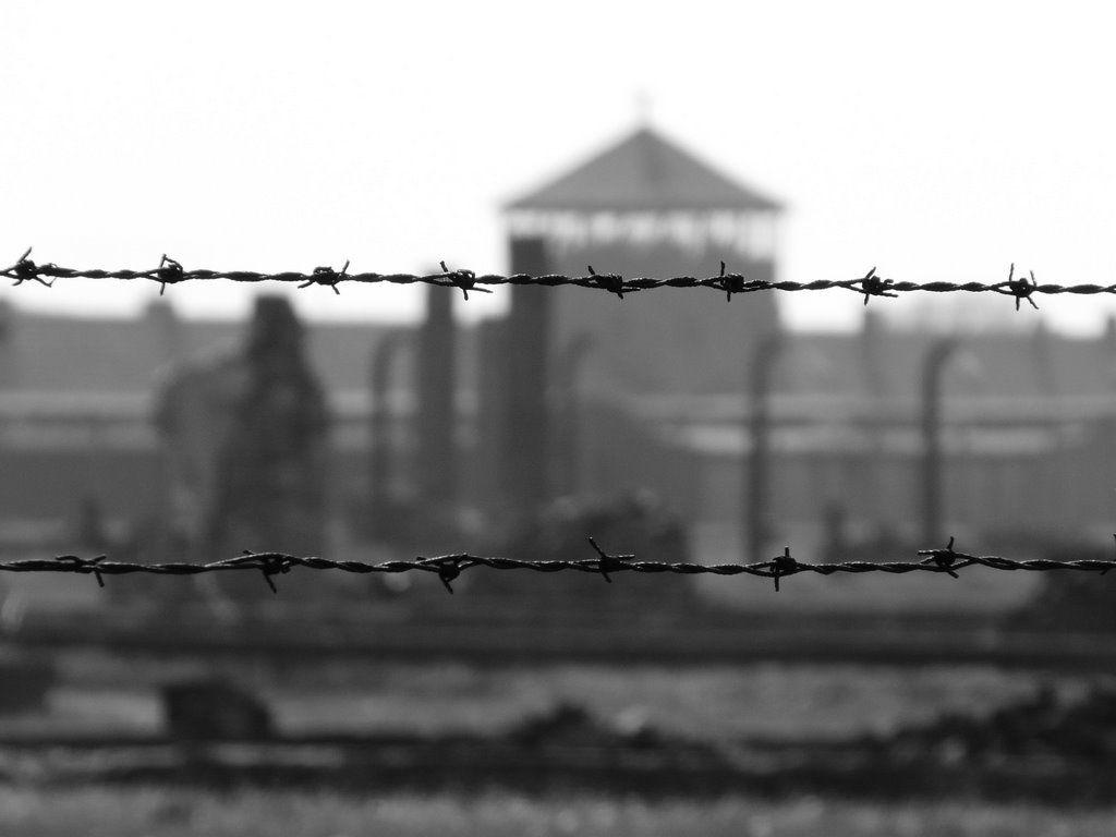 Auschwitz II Birkenau by Dappie2502