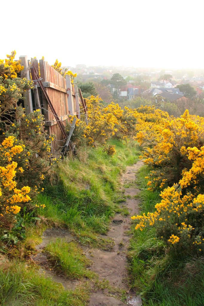 Grange Hill, West Kirby by Peter Rokicki