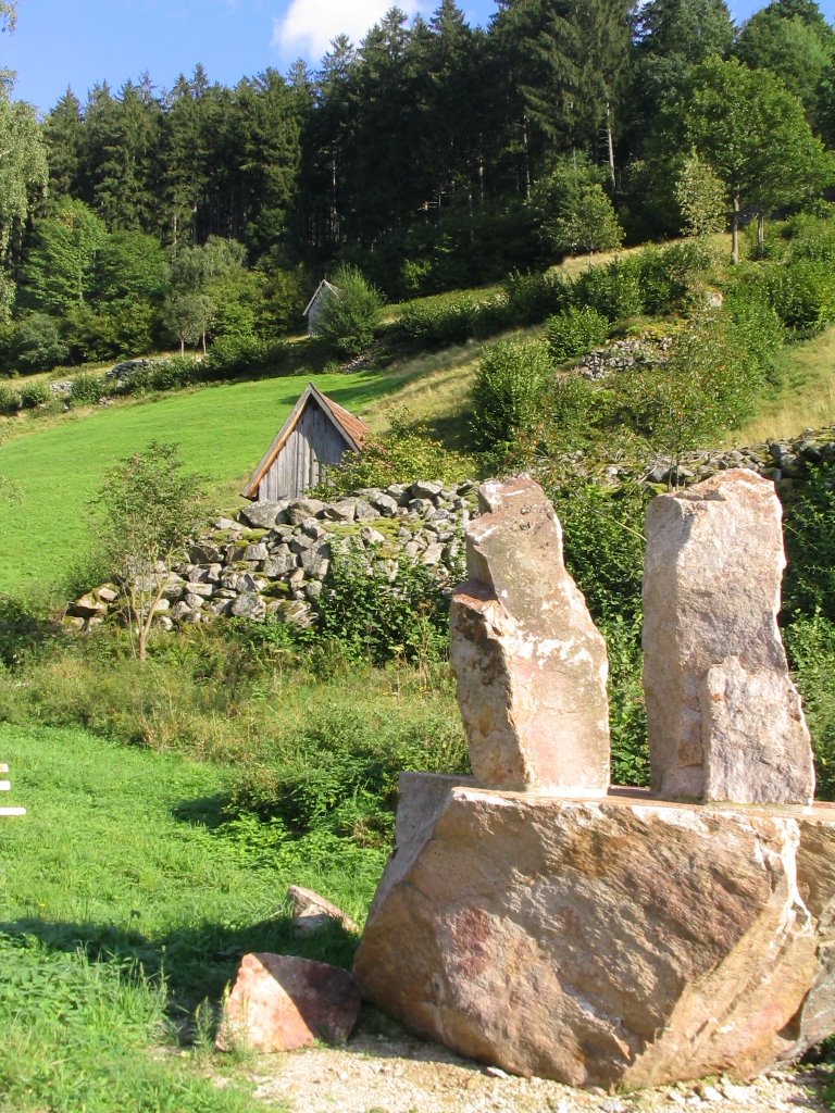 Heuhütten bei Forbach by Martin Kompf