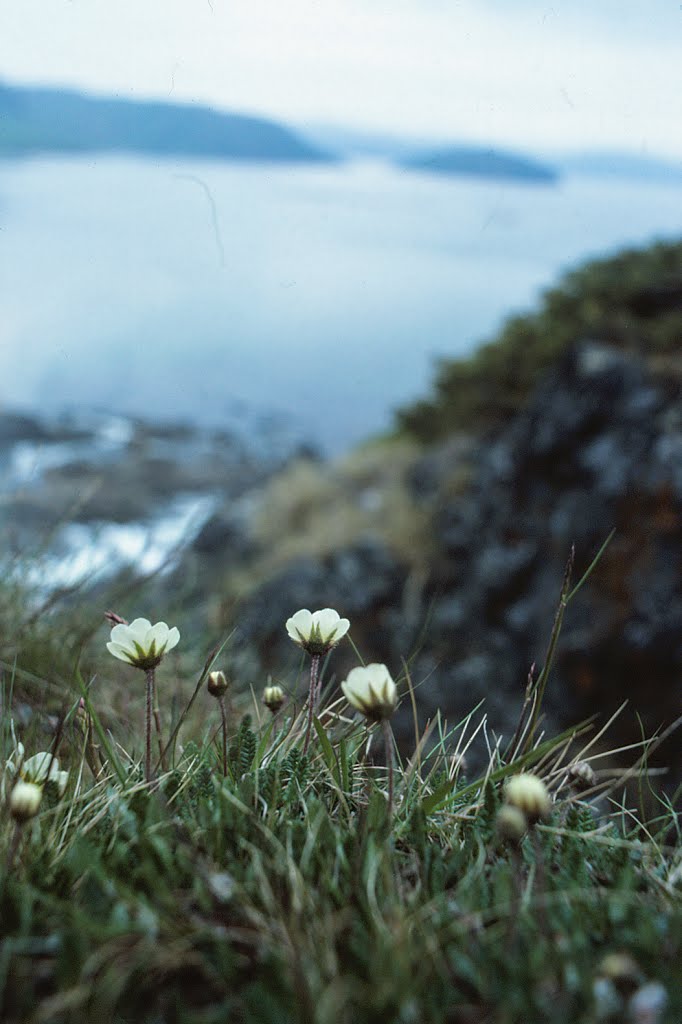 Norge - 1987 by Ole Holbech