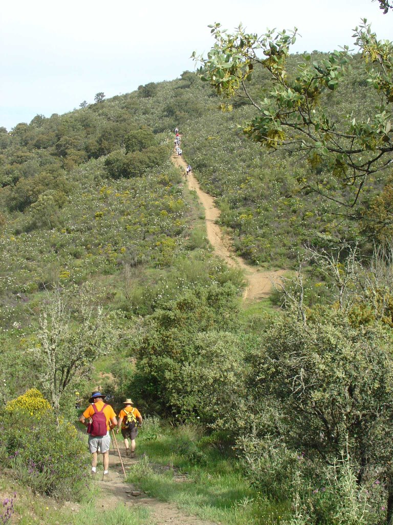 Club de Senderismo Peñas Blancas, La Zarza (Badajoz) - Ruta del rey Jayón, Llerena by sendezarza