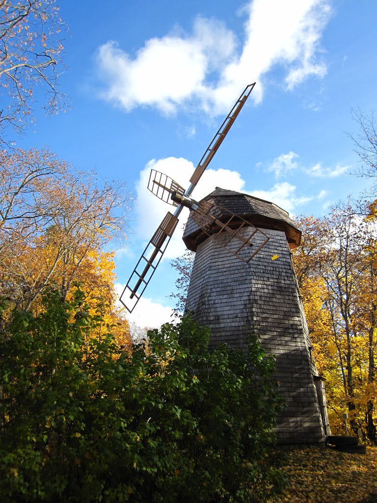 Haihara's mill got new wings by Ritva Astikainen