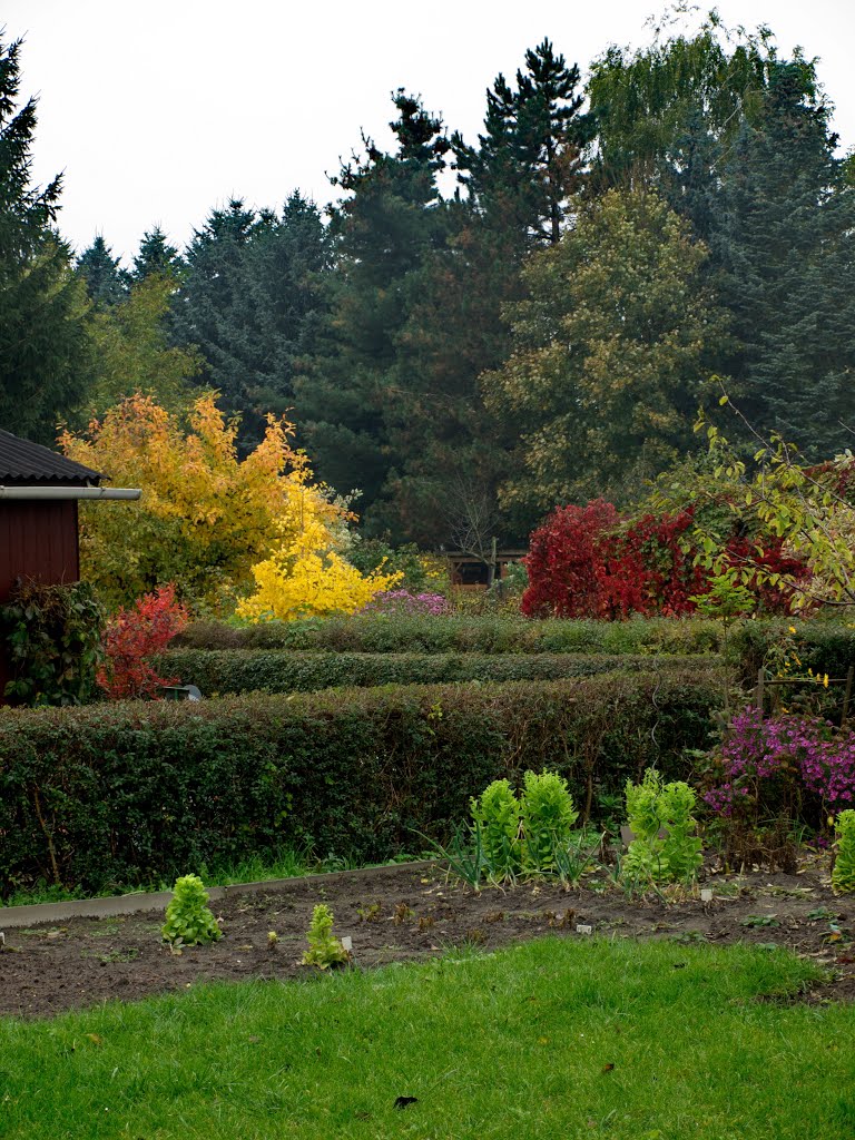 Herbstfarben... by Manfred Stockmann