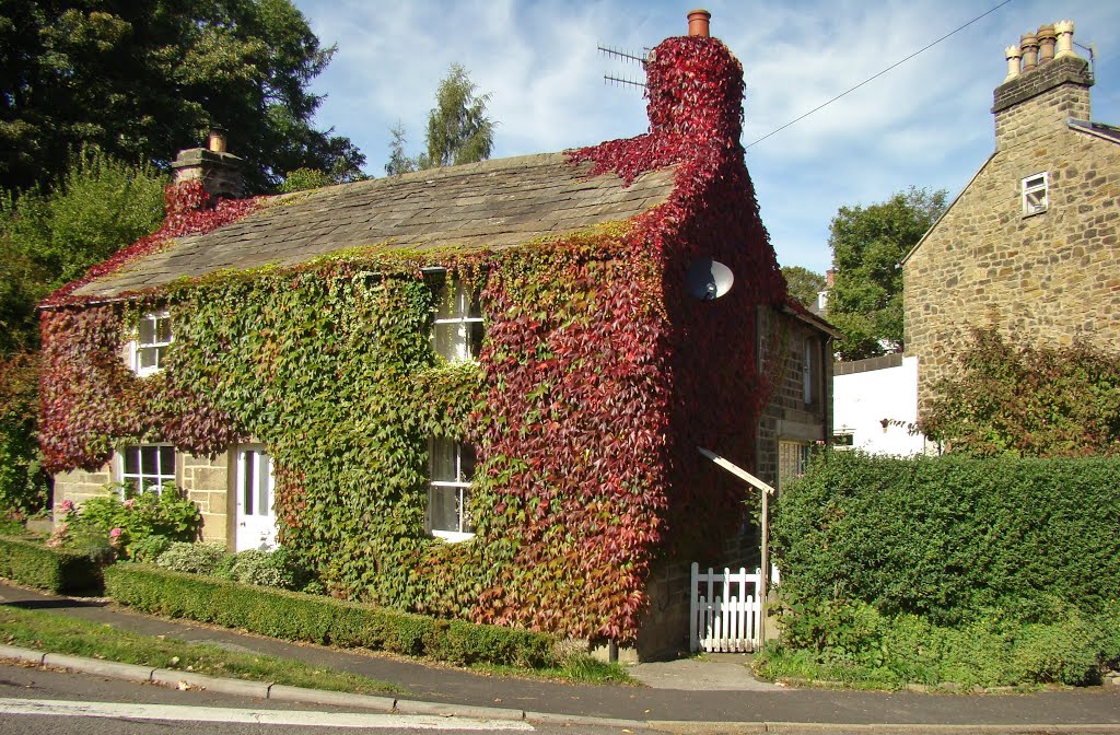 Boston Ivy covered cottage at the junction of the B6001/Main Road 2, Grindleford S32 by six45ive