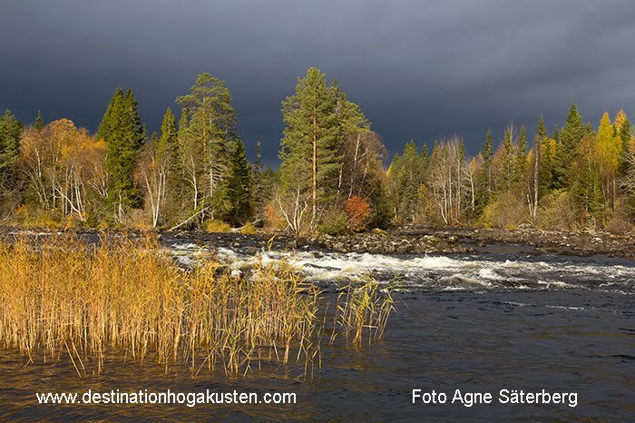 Foto Agne Säterberg, Haverö, Destination Höga Kusten, AGMA Forntid och Äventyr AB, www.destinationhogakusten.com by Agne Säterberg, Destination Höga Kusten