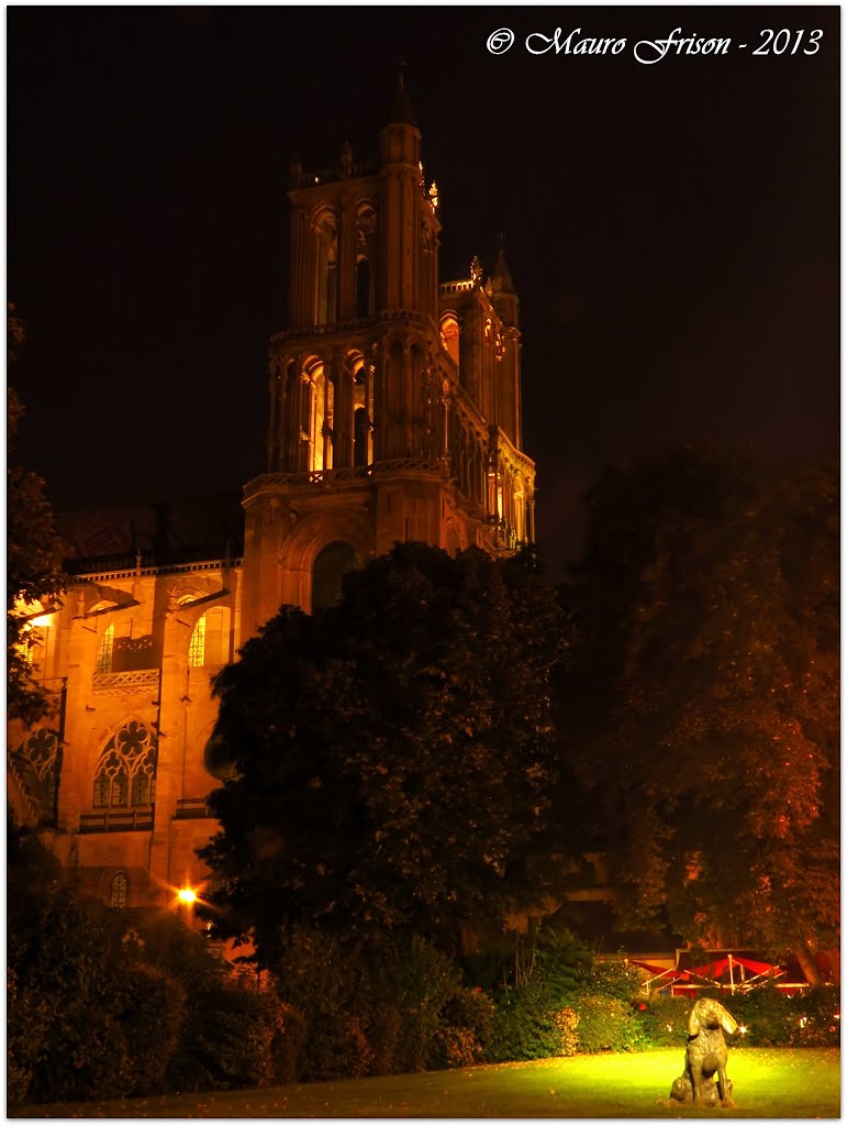 La Collegiale de Notre Dame et le Chien by Mauro Frison