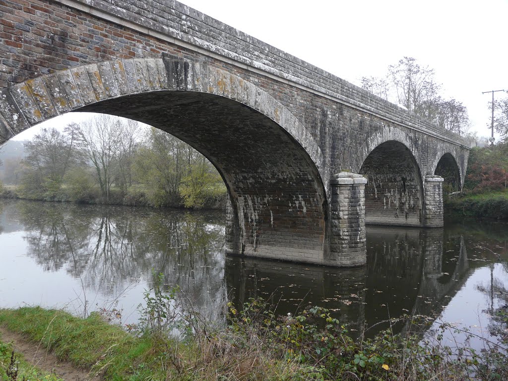 La Haie-Fouassière, pont sur la Sèvre Nantaise by tofil44