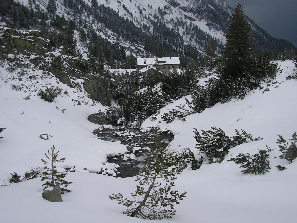 Pl. dom Vihren, 1950 m by vukicevic v.