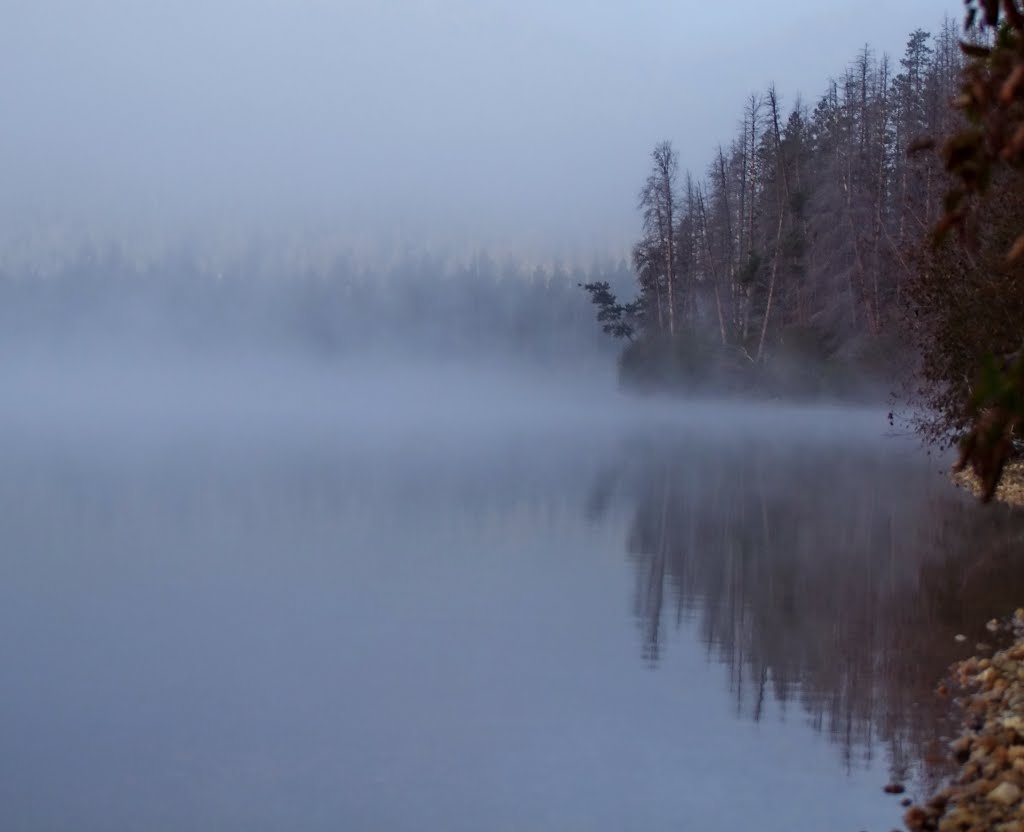 Misty morning on Stanley lake by Neale J