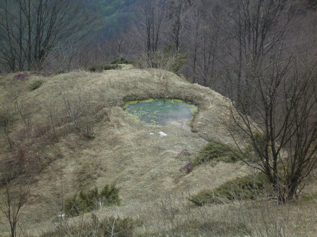 Pozza d'acqua by Andrea Baldrani