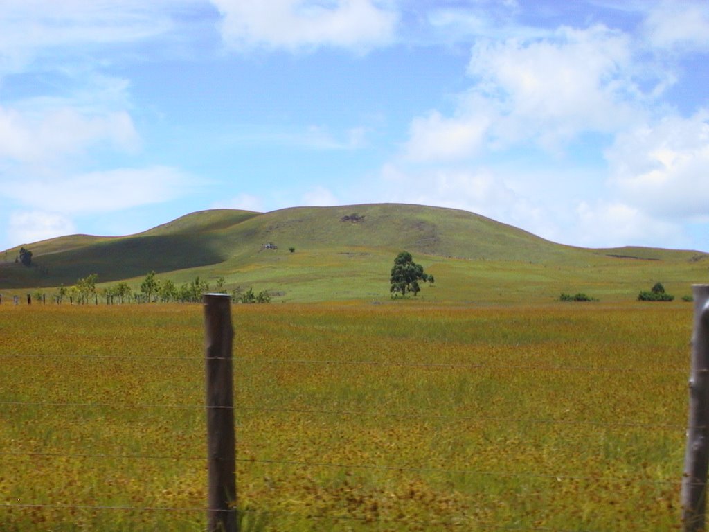 Rapa Nui Fields by Gabriele Giuseppini