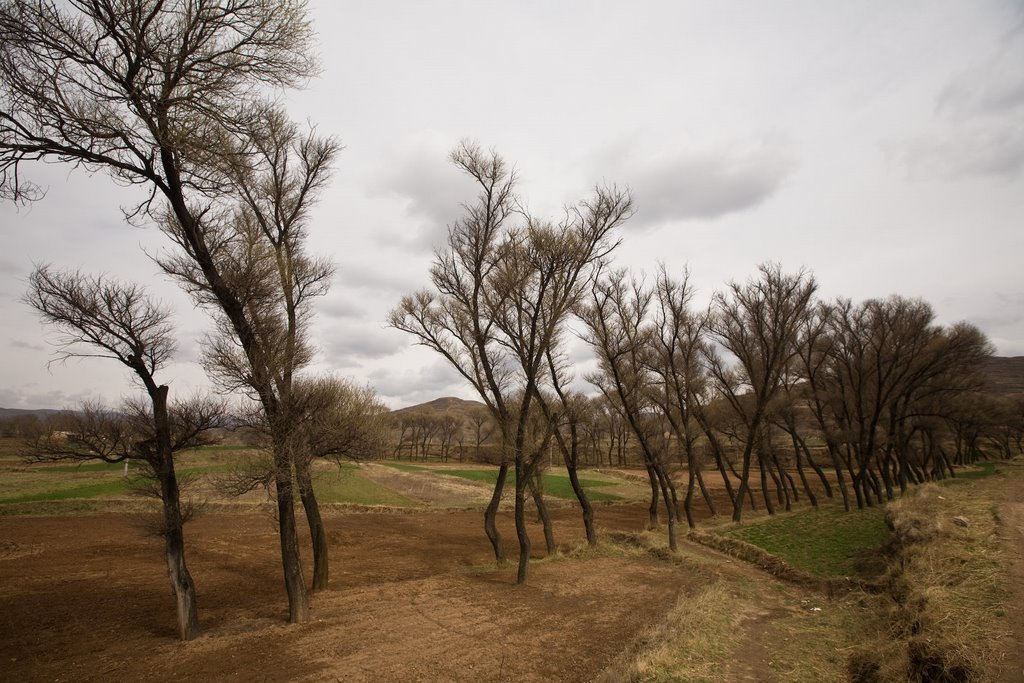 Longde, Guyuan, Ningxia, China by The Longest Way