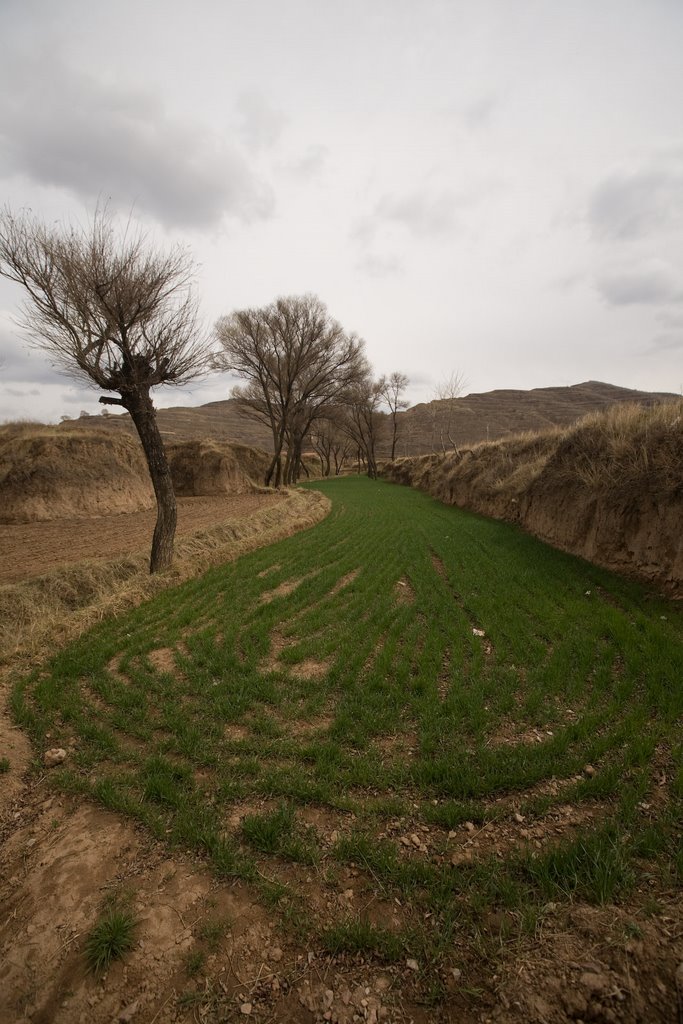 Longde, Guyuan, Ningxia, China by The Longest Way