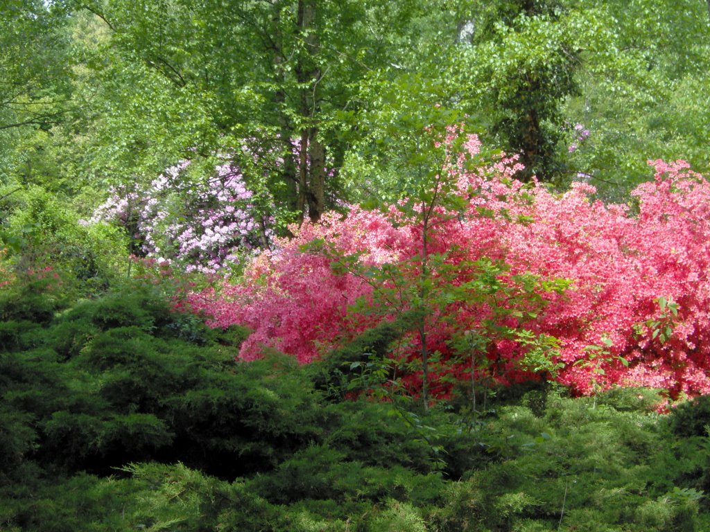 Jeli arborétum_pri by Horváth Róbert