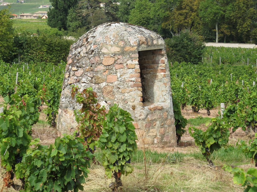 Un puits sur les coteaux du cru Moulin a Vent . by justine