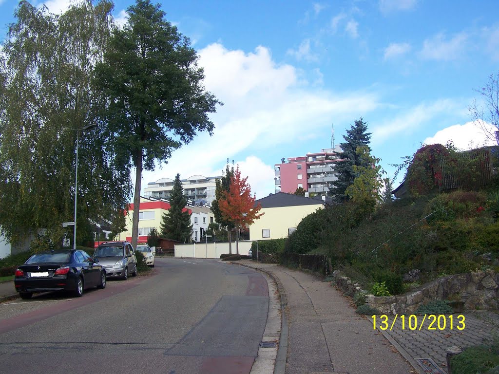 Kurpfalzstrasse, Herbst 2013 by М. Невірковець (N.Newirkowez)