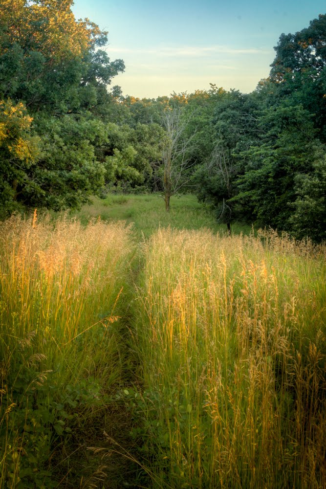 Good Earth State Park ( Blood Run) 2 by Mike Oistad