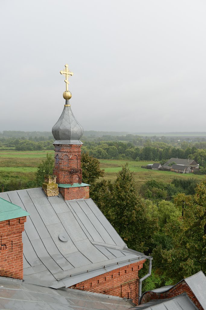 Вид с колокольни. Михайло-Архангельский храм. с. Салтыково. Пензенская область. ​ by o.frolov