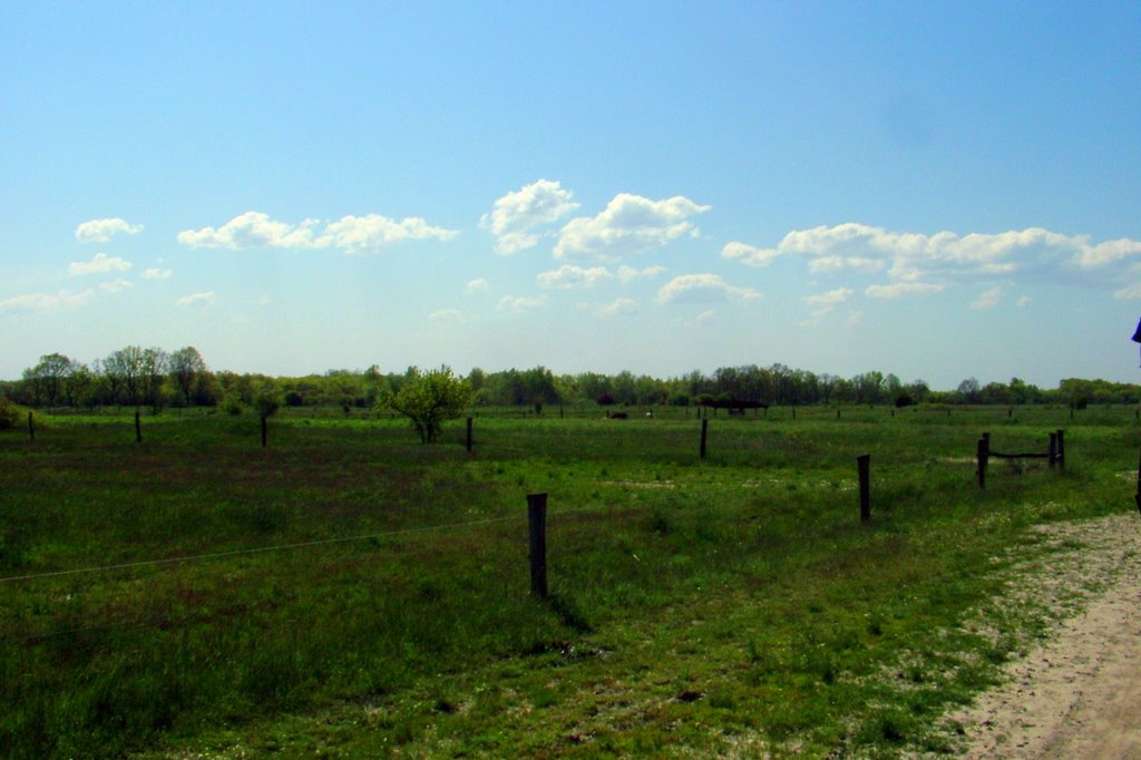 A magyar Pusztán - In the Hungarian Prairie by Pinke László