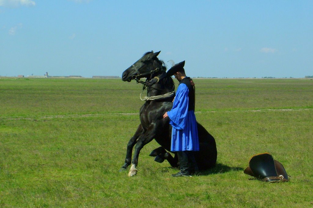 Csikós,hátasával - Hungarian horseman, and horse by Pinke László