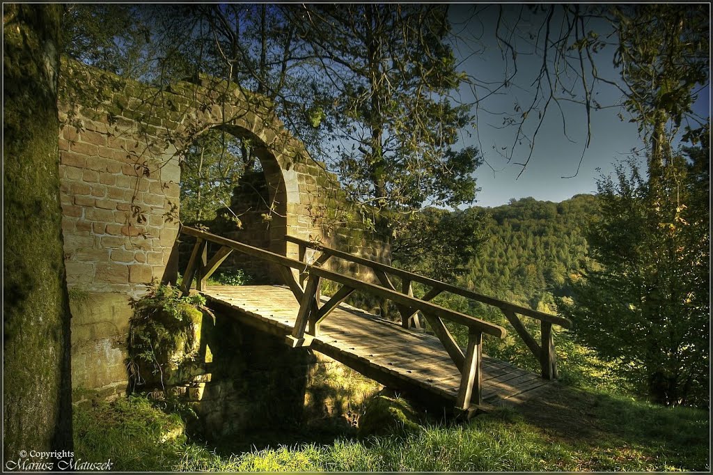 Thaleischweiler-Fröschen, Burg Steinenschloss by Loslau