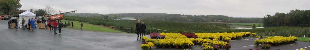 2013 Oct - Dickerson, MD - Lewis Orchard by Pano Ramio