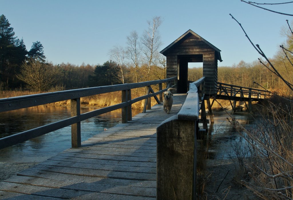 Winterse brug by bert.korlaar