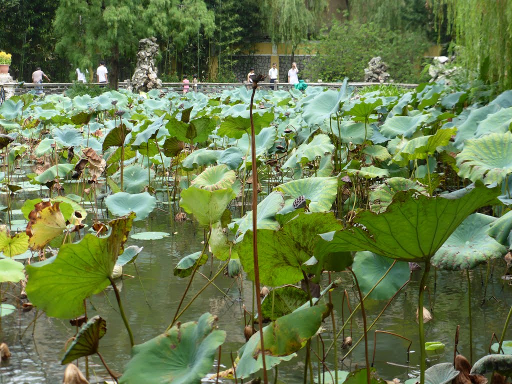 Park in Macau by Icepick