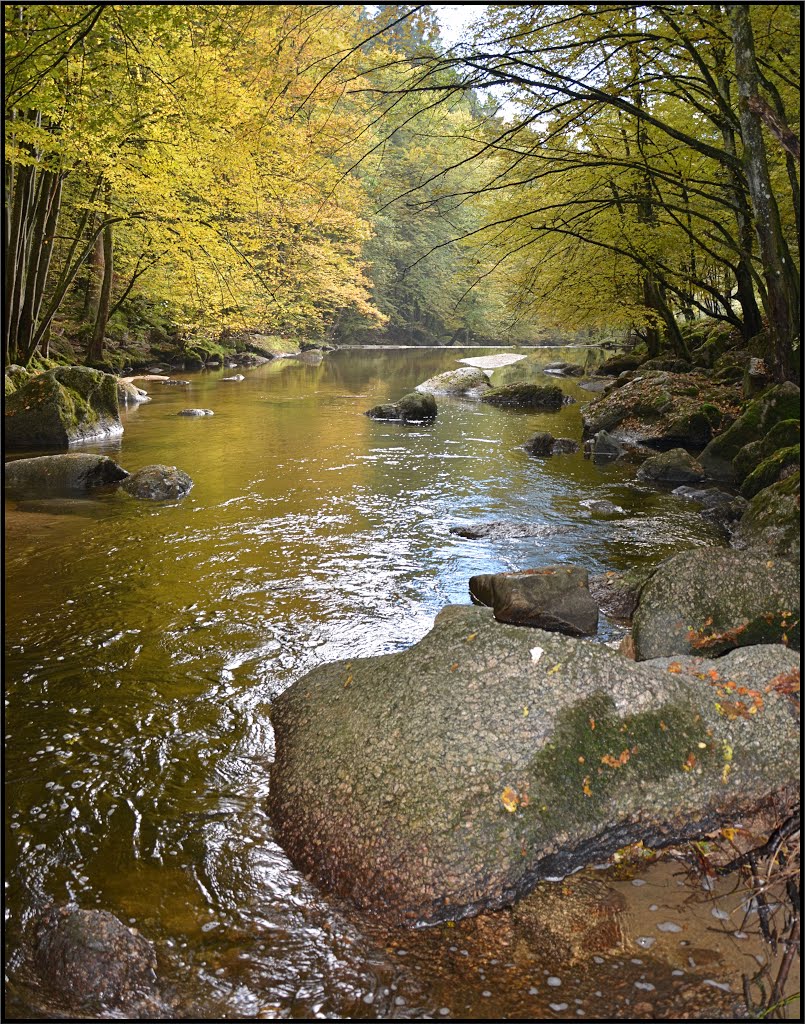 Herbst im Feldaisttal by Steidl Normann