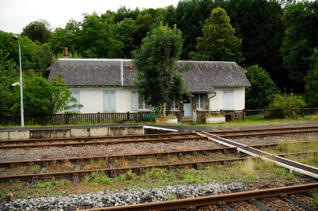 Le rail Auvergnat, les lignes du Cantal. by Tireman.