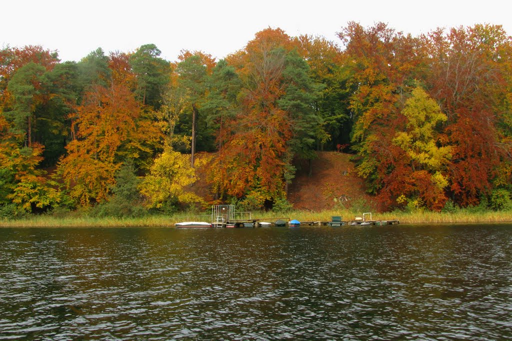 Herbst am Liepnitzsee by mvw65