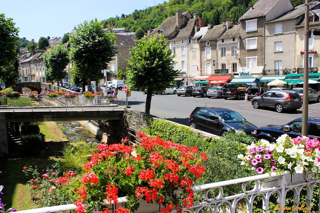 Le Ruisseau du Remontalou by Bernard Bost