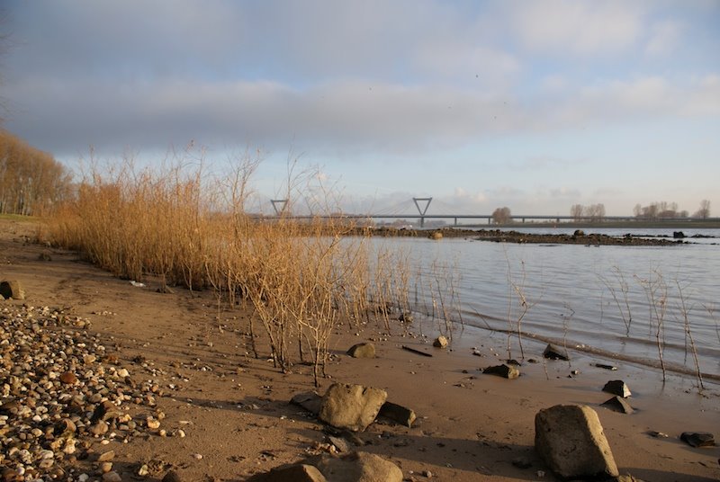 Meerbusch Rheinansicht, Bridge from the shore by didgee